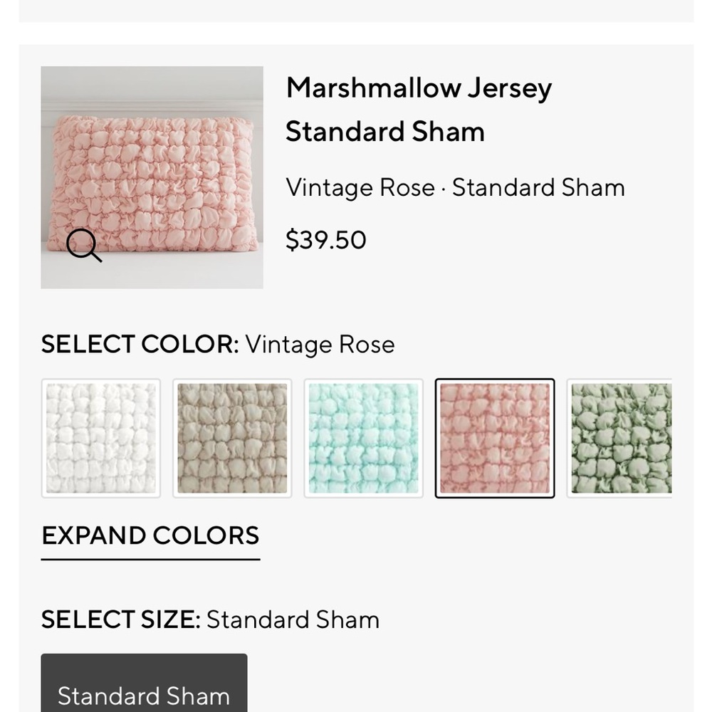 Pottery Barn Teen Marshmallow Jersey Shams in Vintage Rose